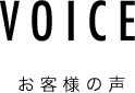 VOICE